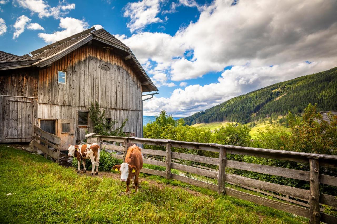 Apartamento Binderhof Weisspriach Exterior foto